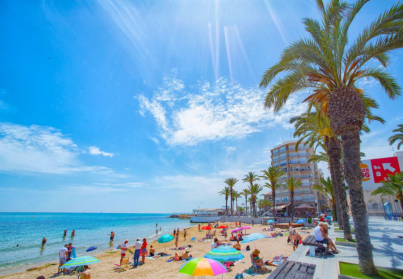 Апартаменты на Торревьеха / Torrevieja - 037 Modern Sweet Apartment - Alicante Holiday