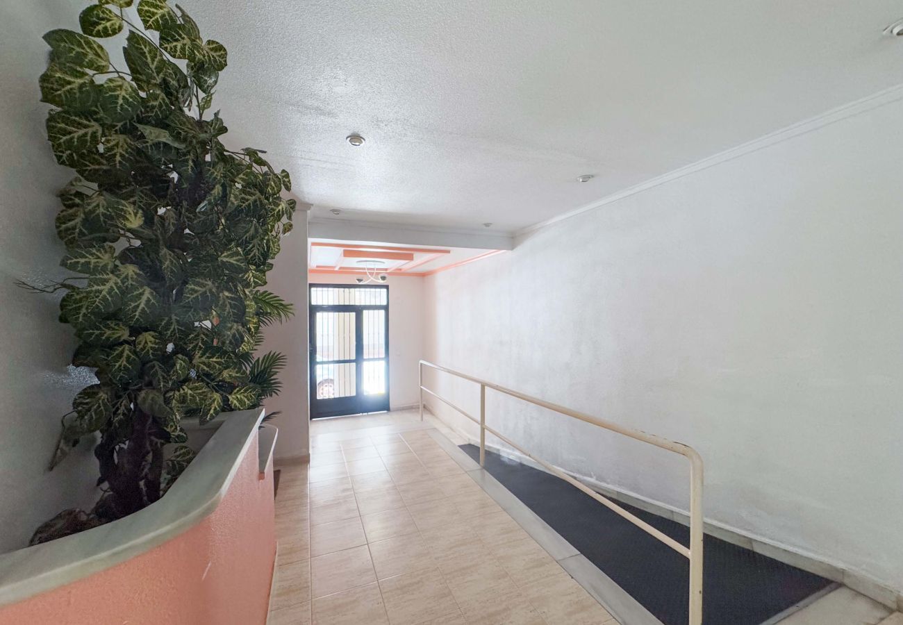 Апартаменты на Торревьеха / Torrevieja - 132 Modern Relax- Alicante Holiday