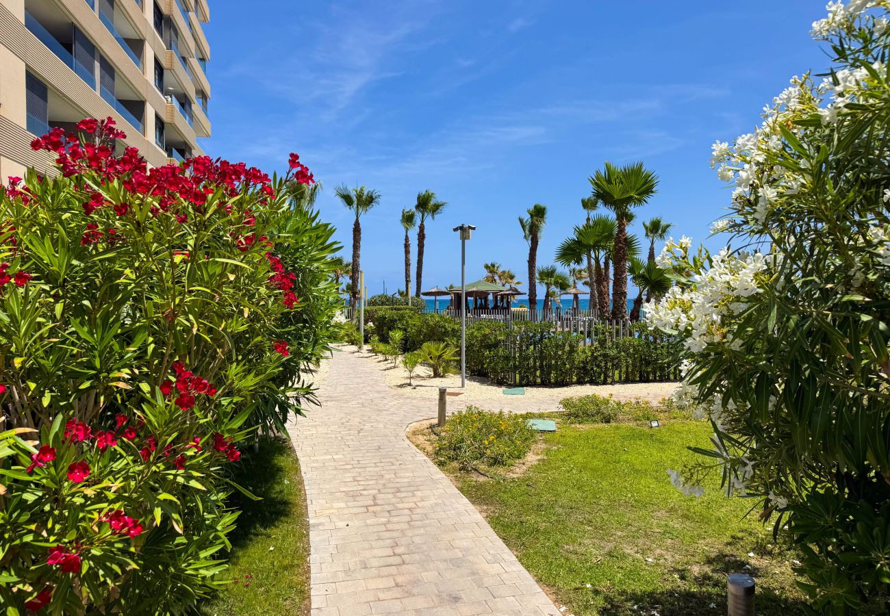 Апартаменты на Торревьеха / Torrevieja - 214 Panorama Mar Relax Corner - Alicante Holiday