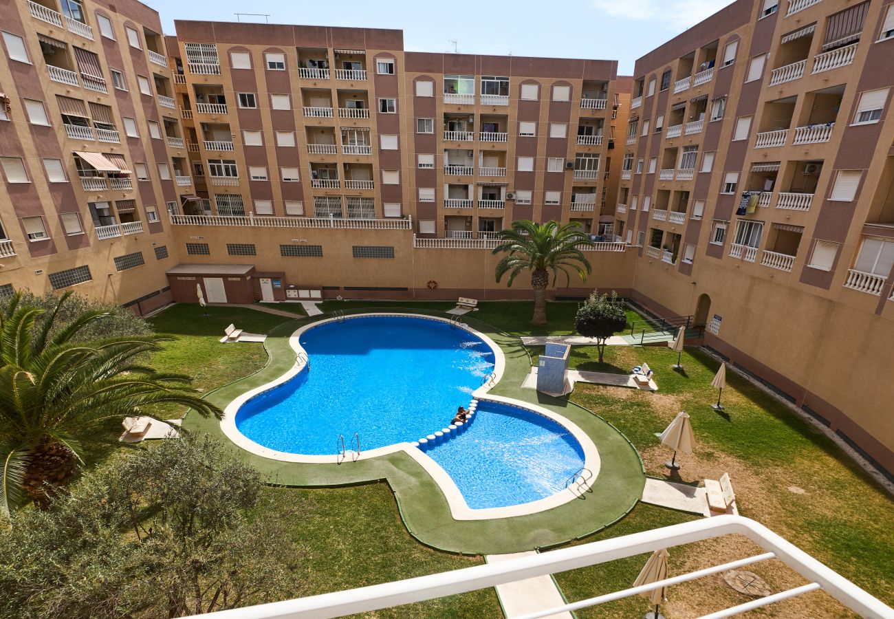 Апартаменты на Торревьеха / Torrevieja - 112 Nice Pool Relax - Alicante Holiday
